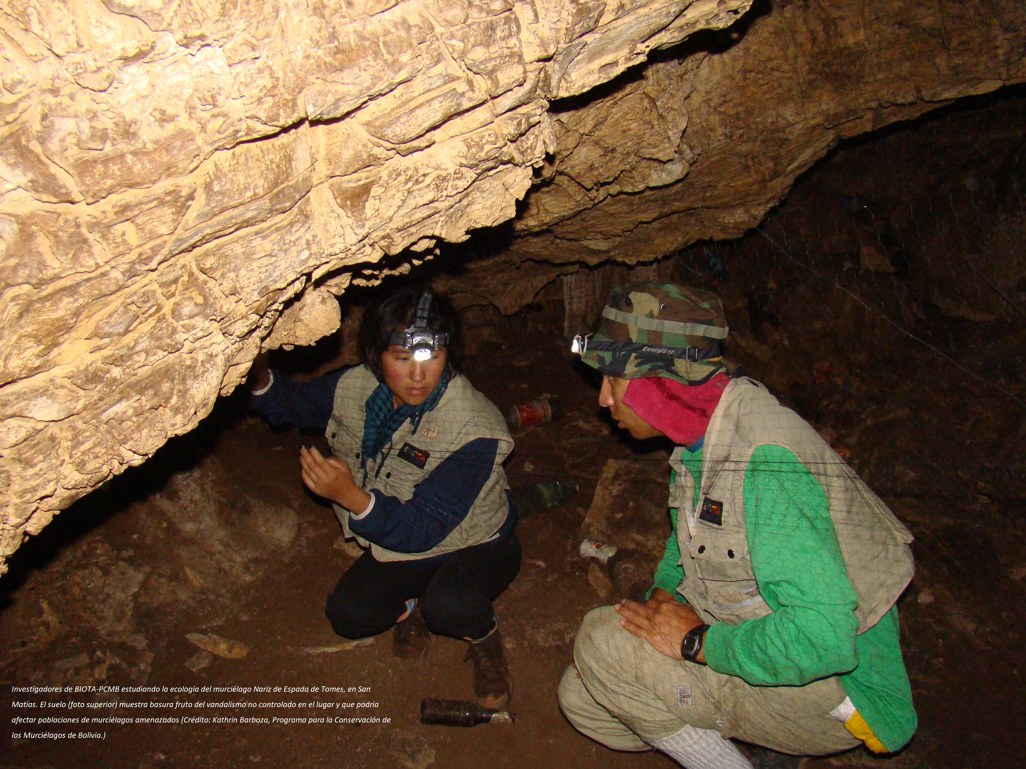 Los Murciélagos: héroes nocturnos Imagen 2