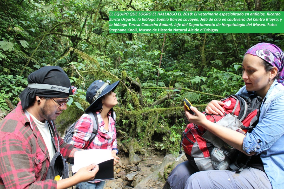 UNA JULIETA PARA ROMEO, La hazaña científica que podría salvar especies bolivianas en peligro extinción Imagen 1