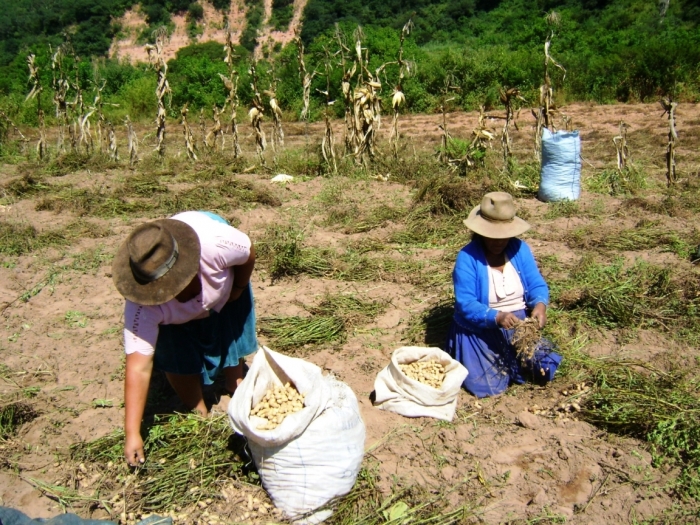 ESTABILIDAD, CRECIMIENTO Y ELECCIONES Imagen 2